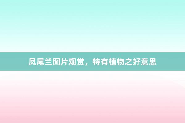 凤尾兰图片观赏，特有植物之好意思