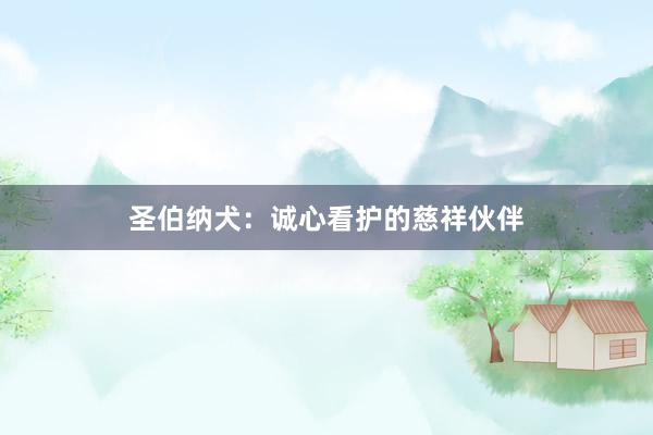 圣伯纳犬：诚心看护的慈祥伙伴